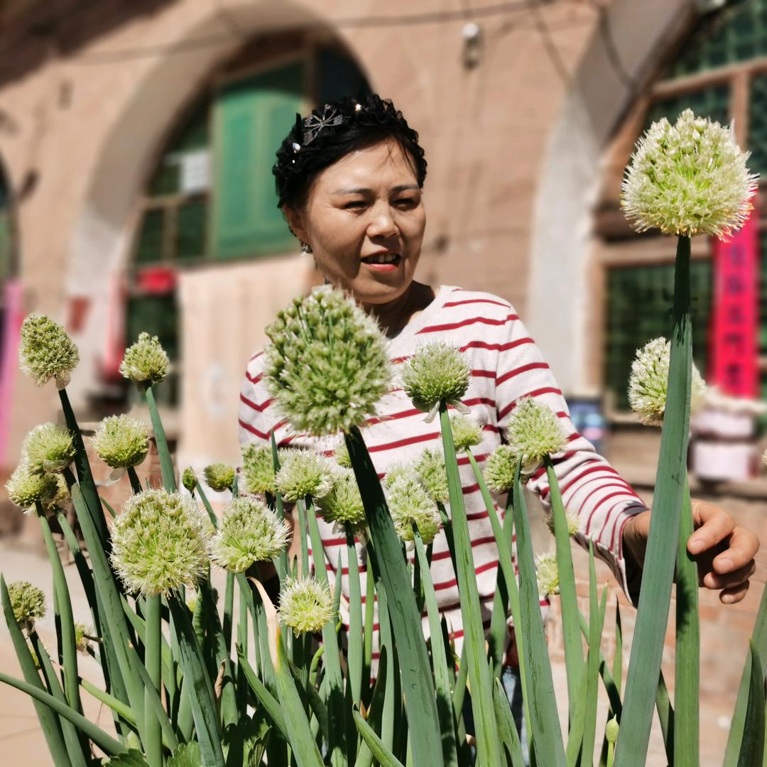 张老师的退休生活