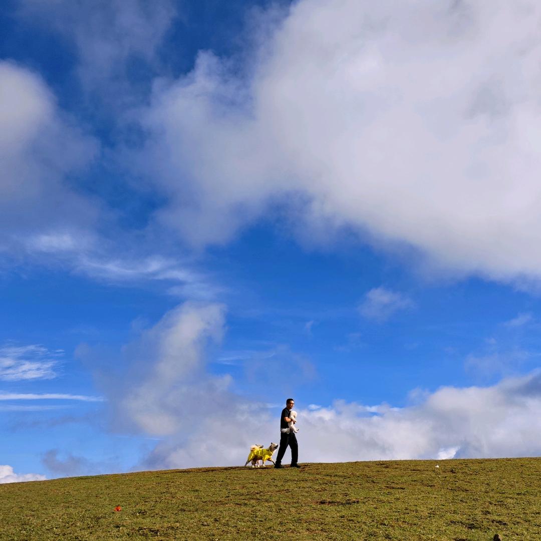 重庆鱼洞驾驶学校