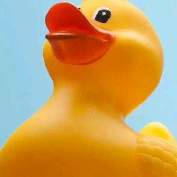 真心诚意