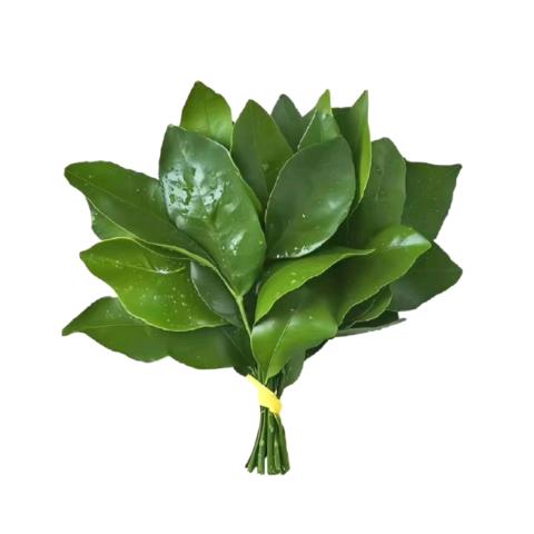 工厂直发（促销中）