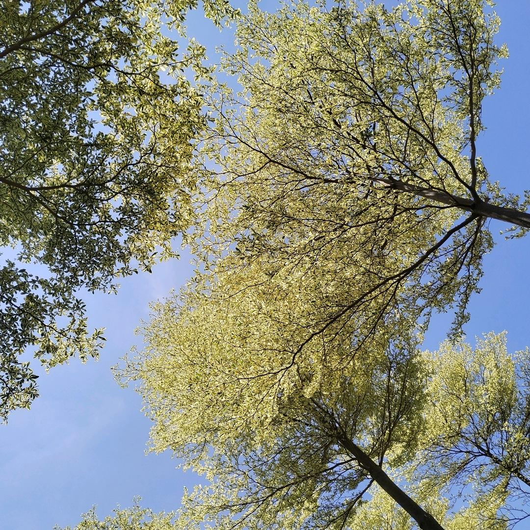 中国贵州仁怀跑车需要的联系