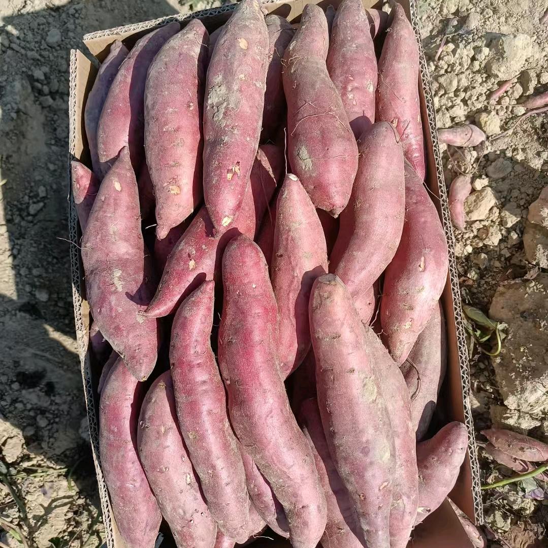 祥发薯业代销有限公司