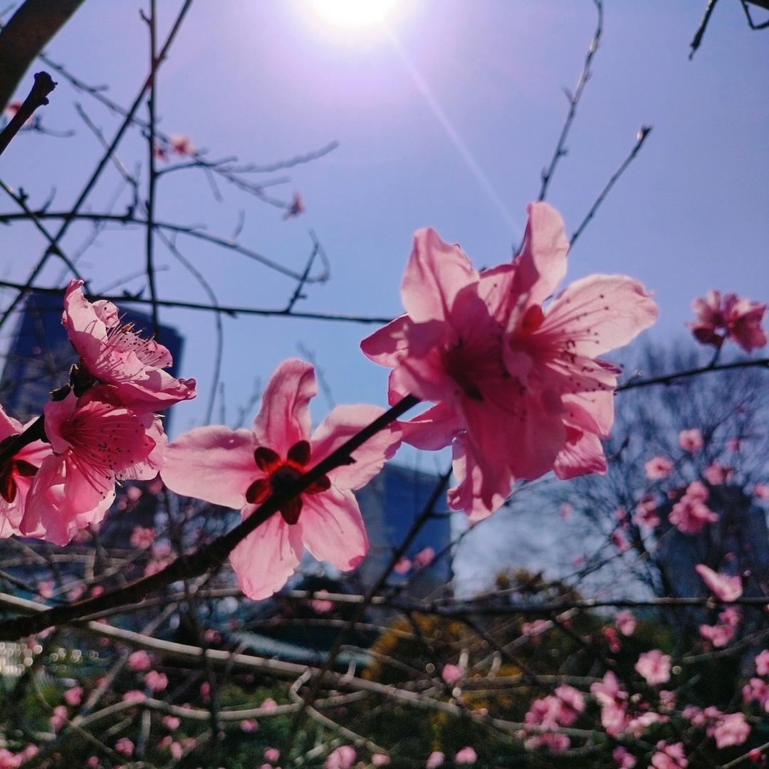 回忆，只剩下回忆