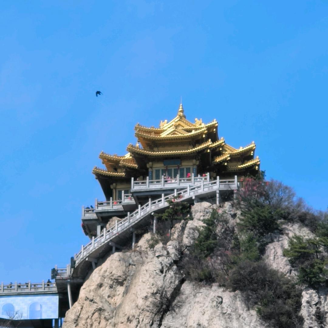 小新你好
