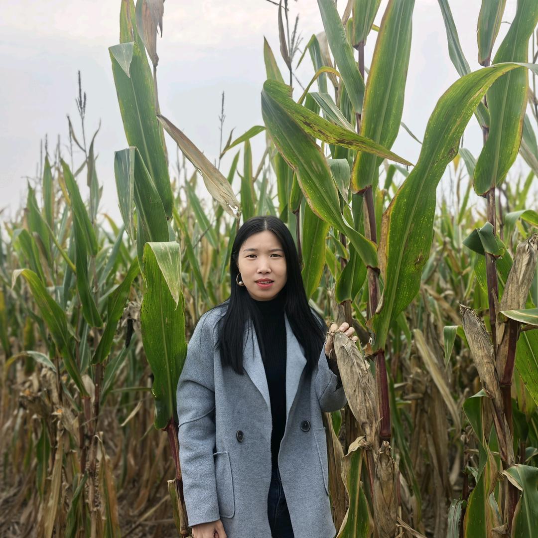 新新农资娜娜说农资