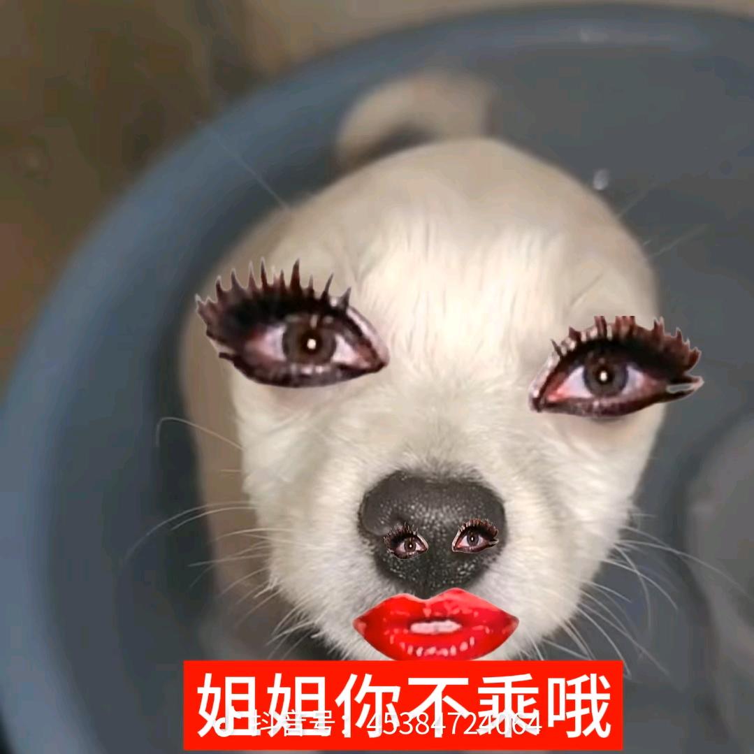buyao打扰wo