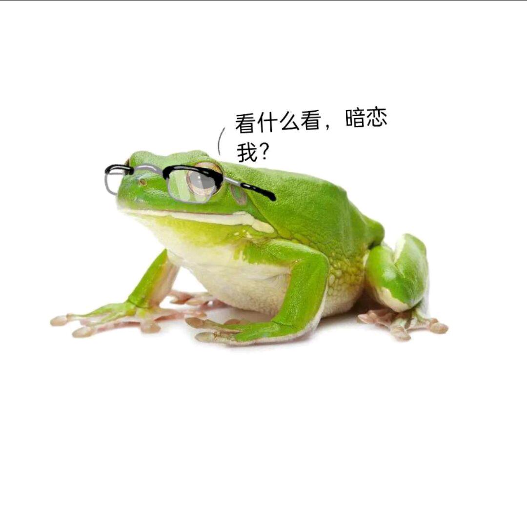 frog