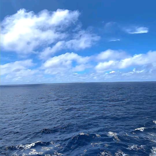 余生与你同行