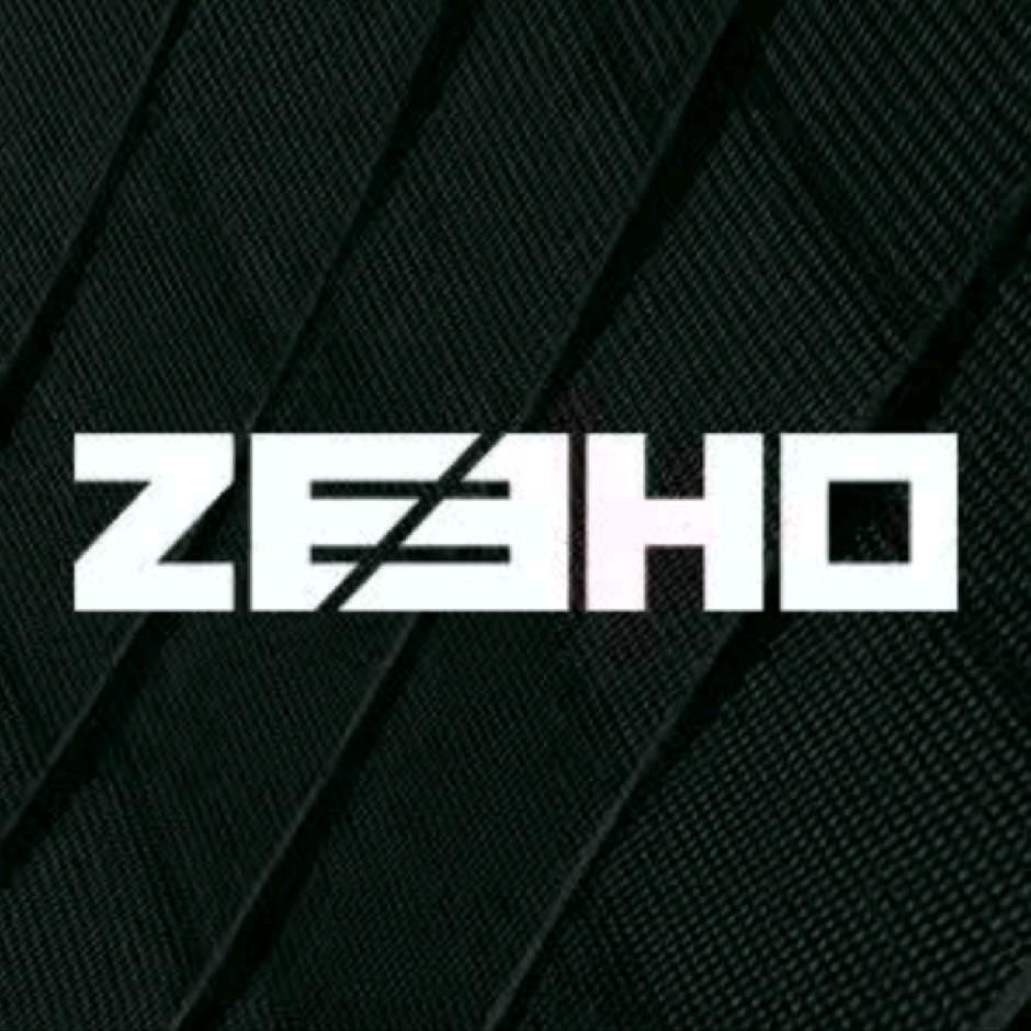 ZEEHO极核电动(茶山金山路店)