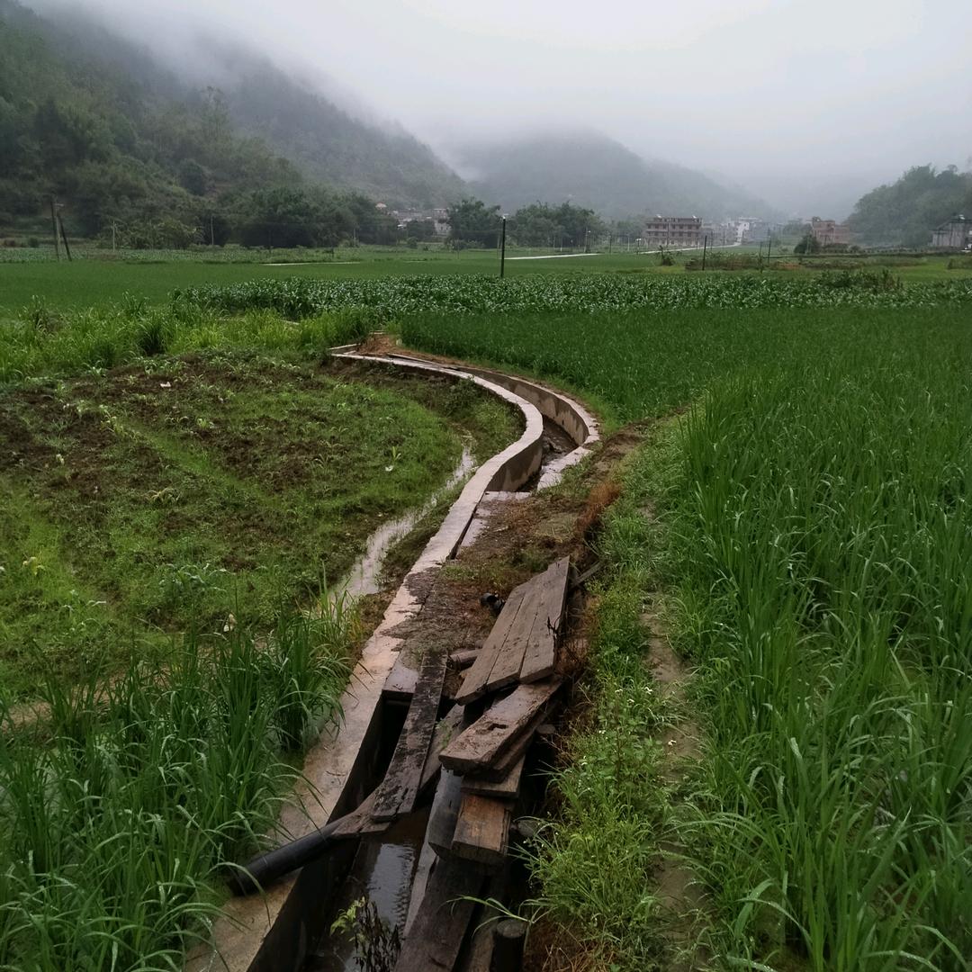 上赖