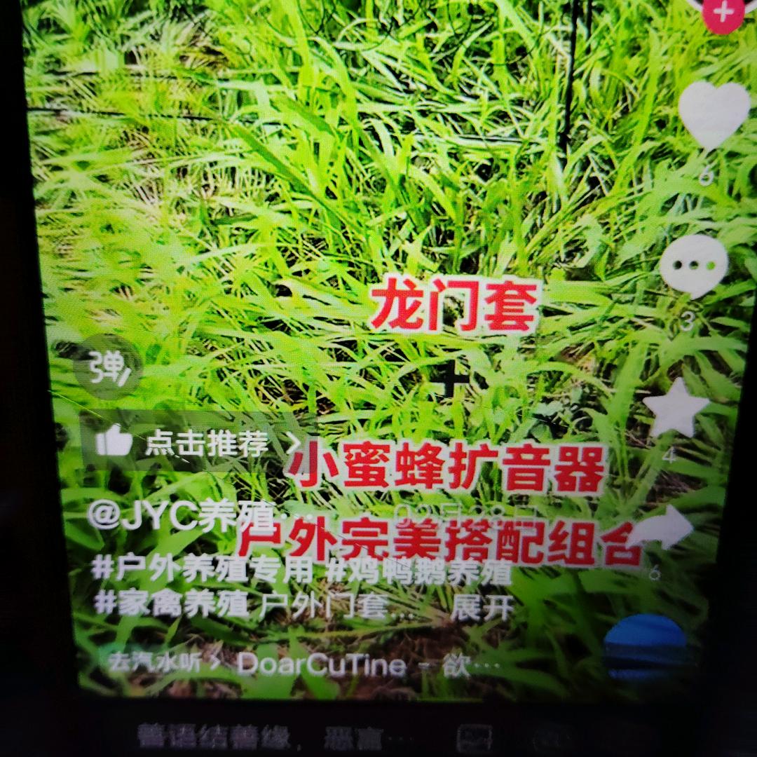 顺风车
