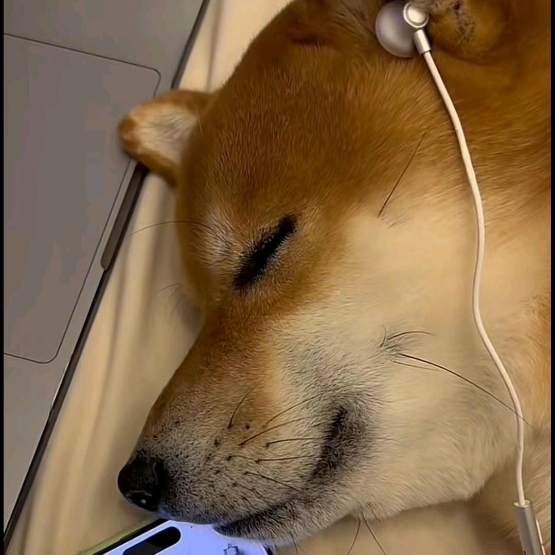 Zzzzzz