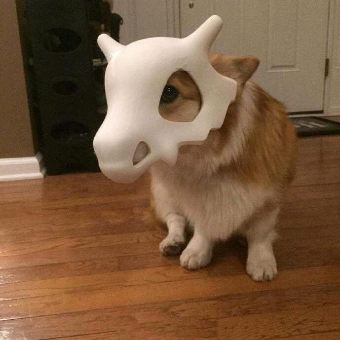 .派大星.🔔