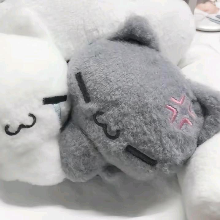 萍萍控
