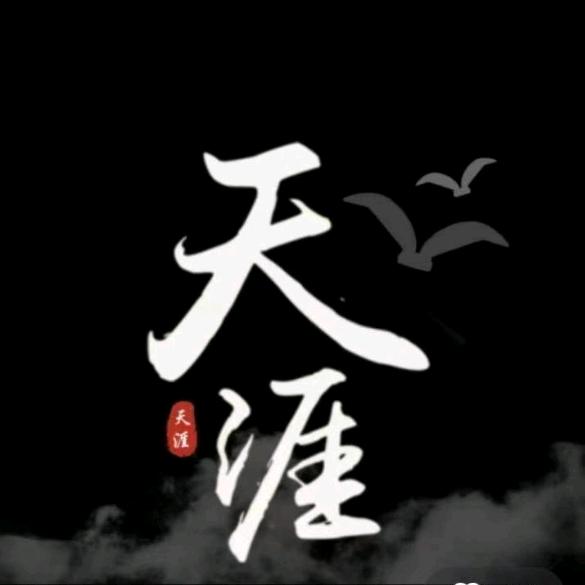天涯隐学刘哥