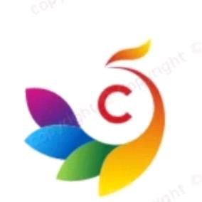 丰县COCO酒吧