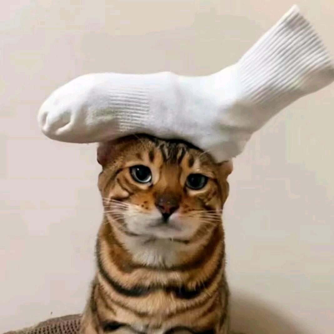 连？都变成……