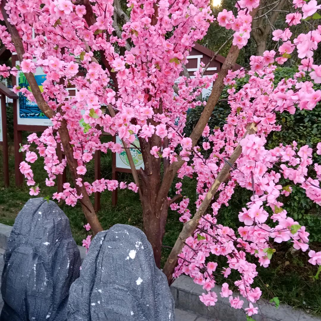 开心点