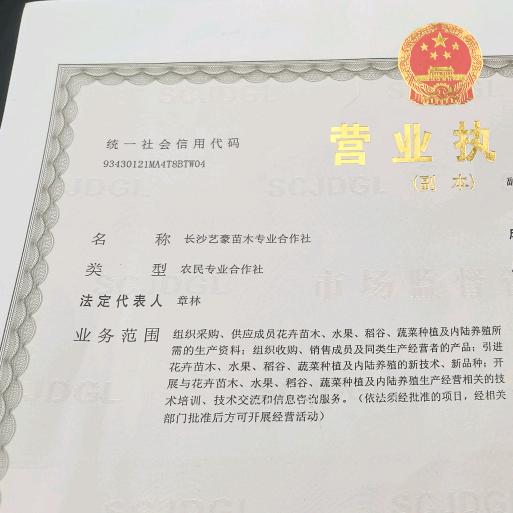 艺豪苗木专业合作社