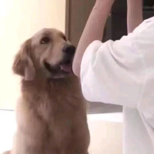 你真可爱