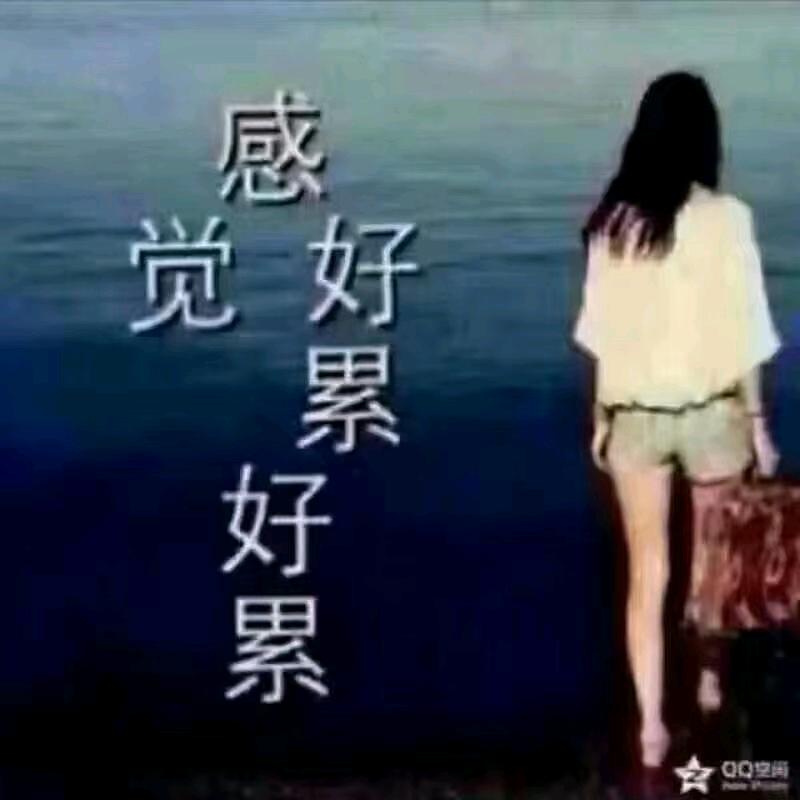 努力拼博