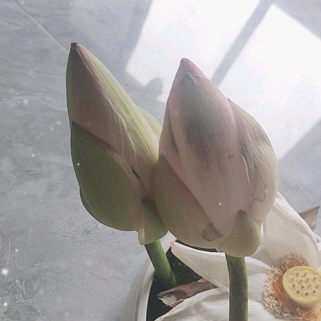 幸福 快乐＃