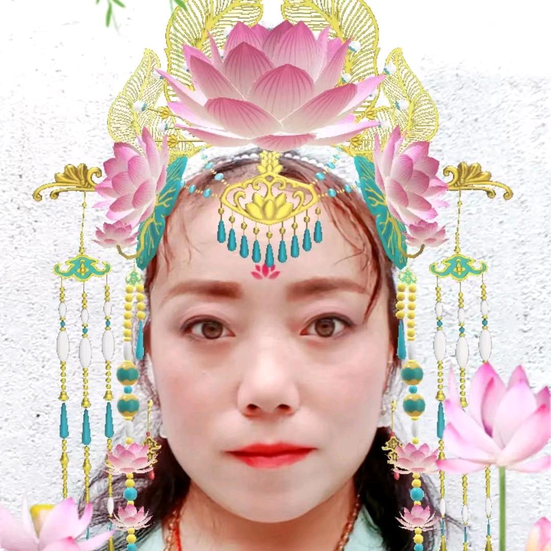 静静星归尘