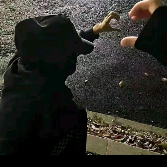 ～盆鱼宴～