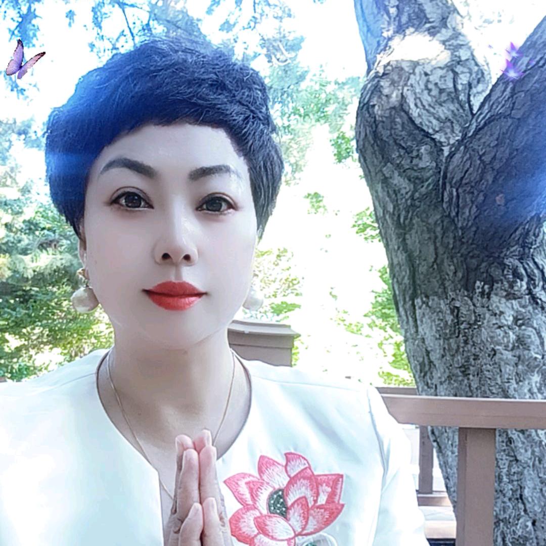 燕子如慈心偶疗愈