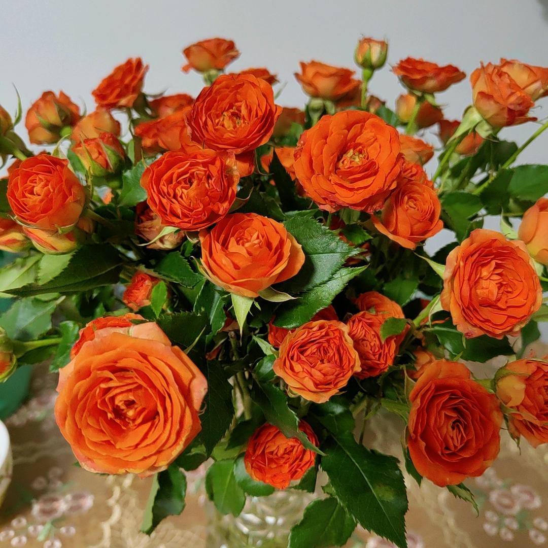 雨☔️雨过天晴