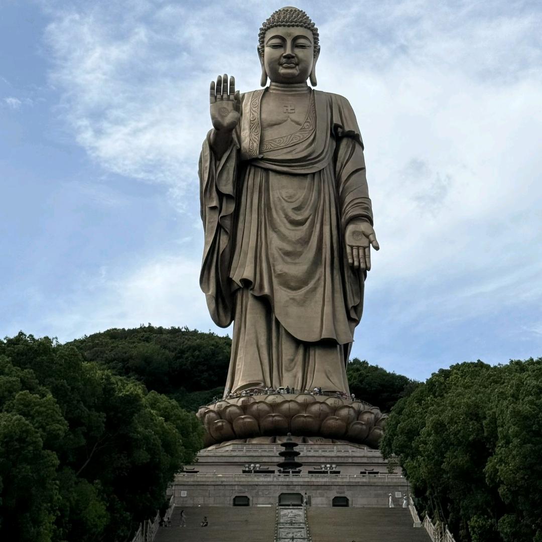 曾经遇到老斑鸠