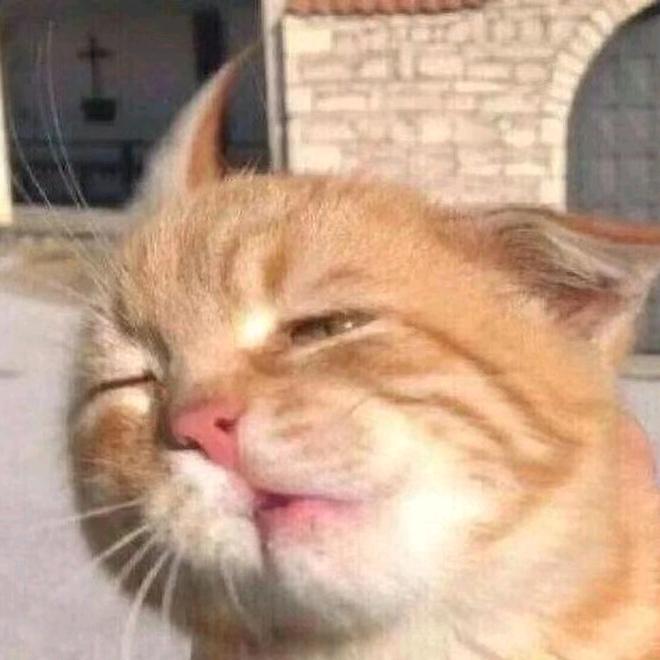 🌈一罐栗子🌈