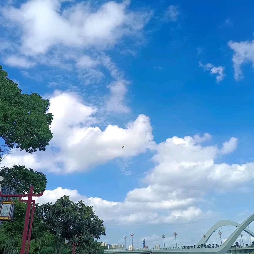 银雨