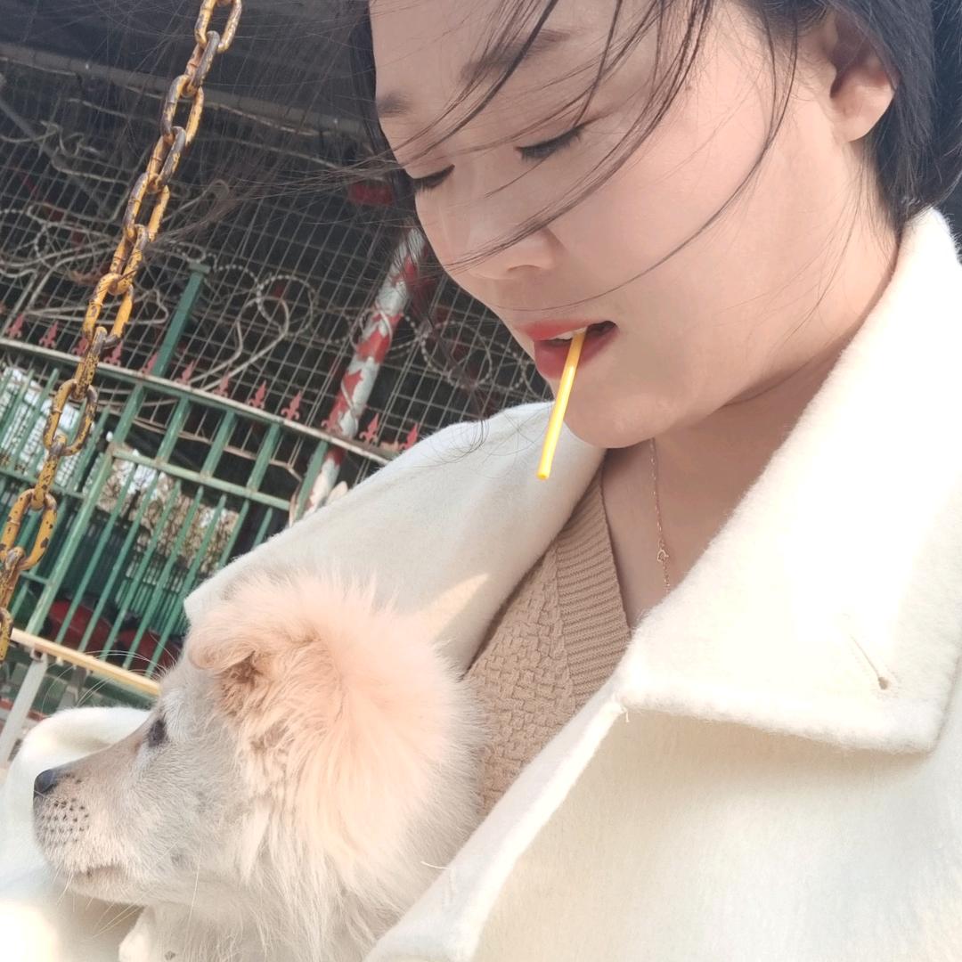 西洋店 开元酒家 贝贝