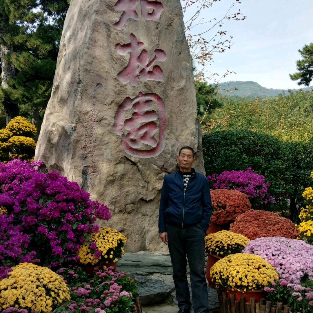 柳暗花明