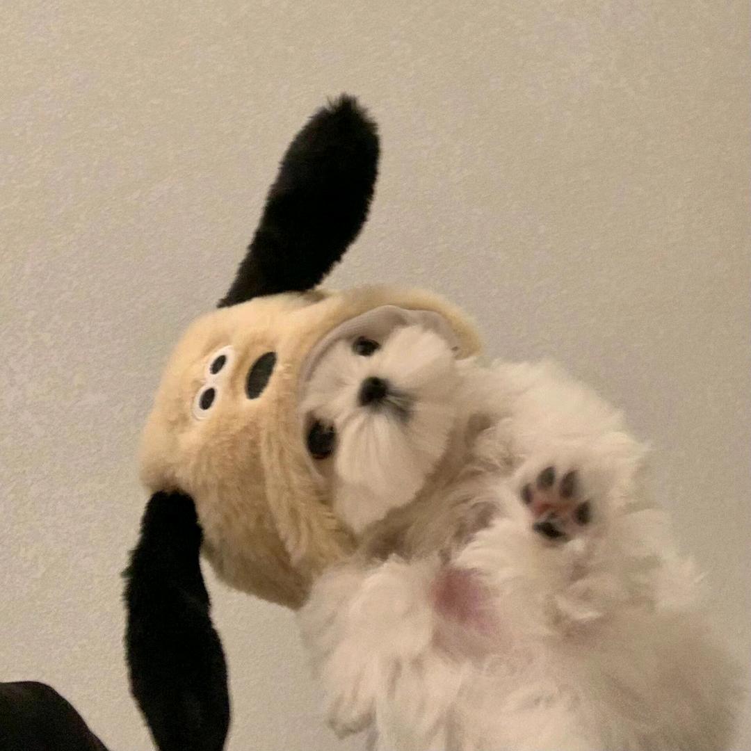 代盐人🧂