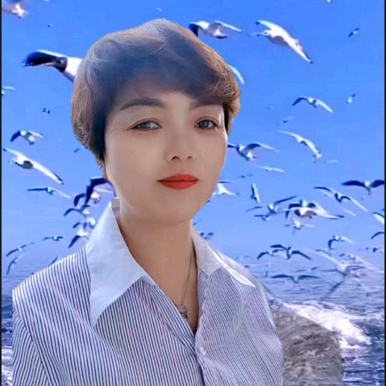 凤云姐