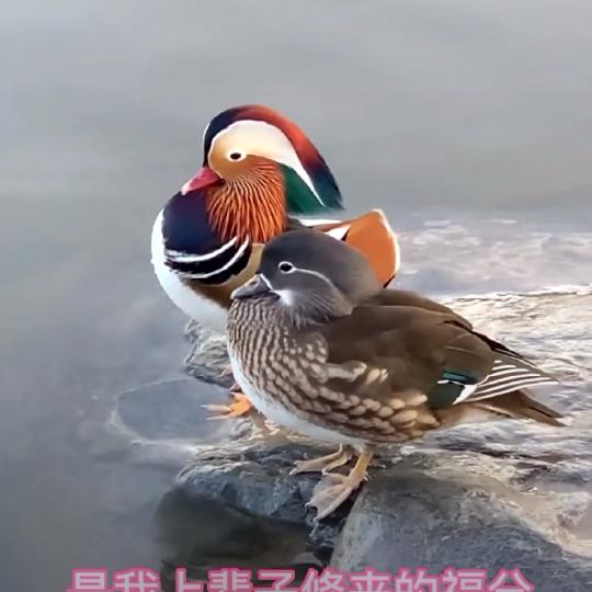 💞心有阳光