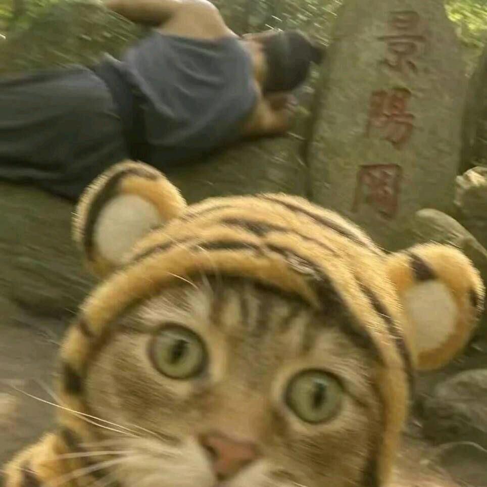 阿c