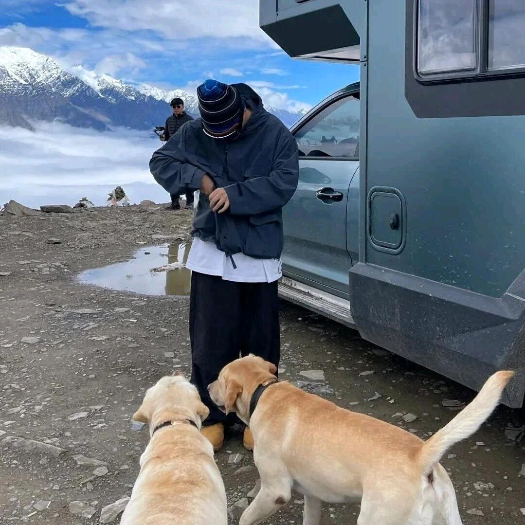 毛毛