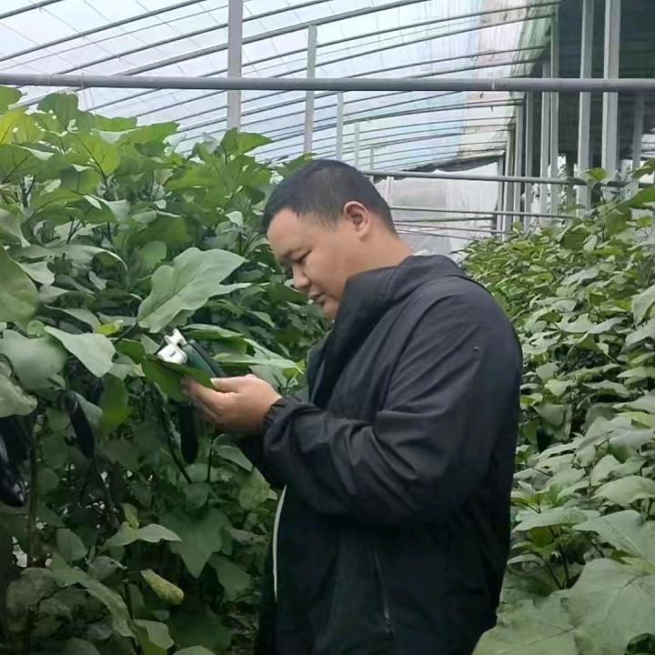 津蕴农业山东李帅