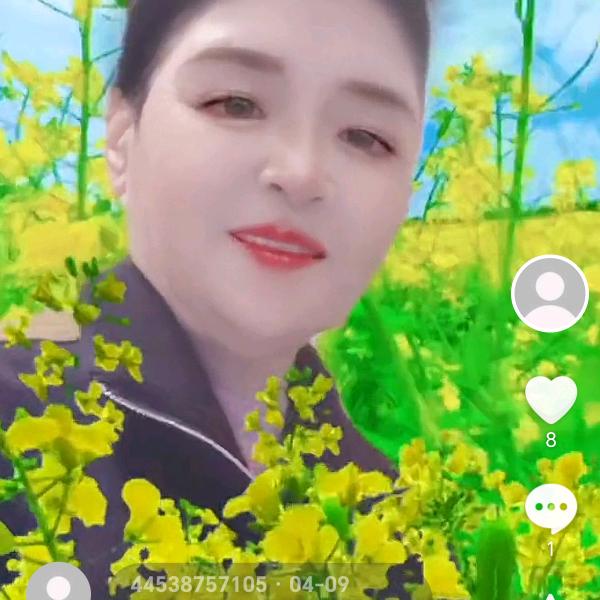 梦云