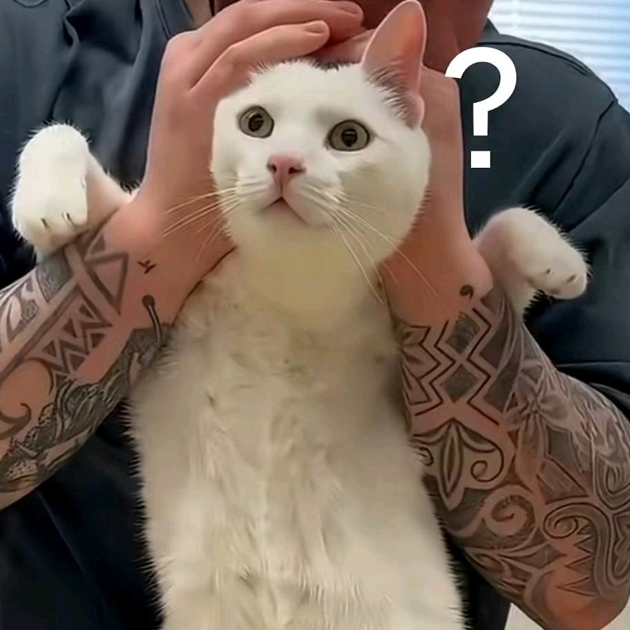 布拾（灰境行者）