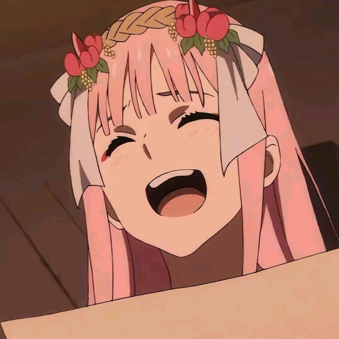 兔兔.