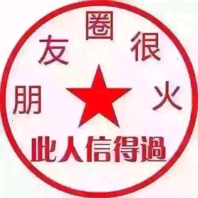 ⊹꙳ ˶˙ᵕ˙˶ ⊹꙳