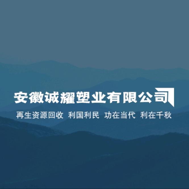 安徽诚耀塑业（热洗 PP透明丙餐盒 ）