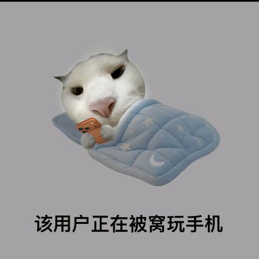 y.