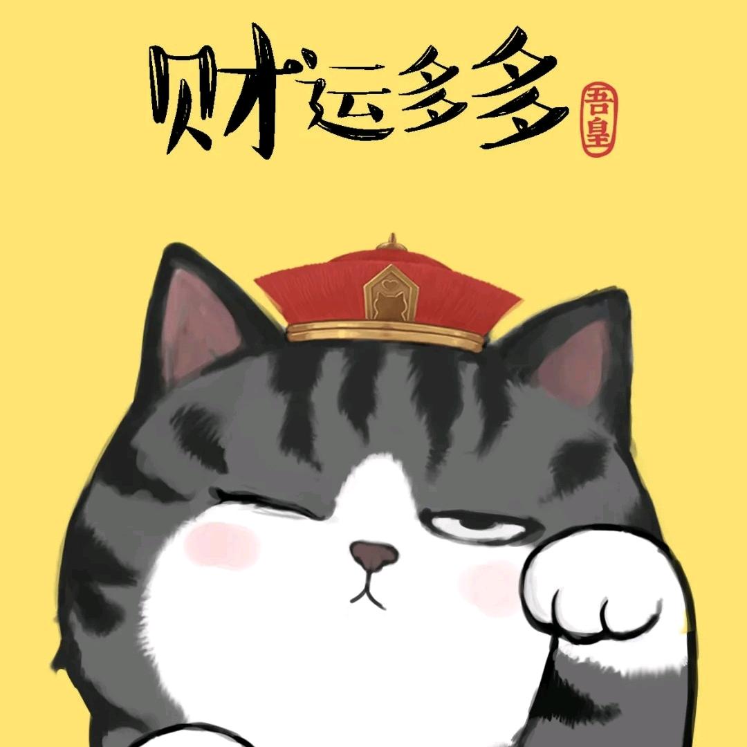 喵 追 风@@