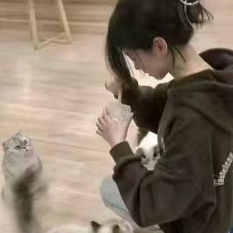 和平精英彬护航