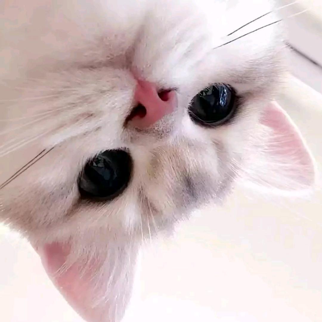 小小小小y